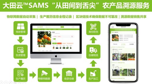 大田智慧農業投資1.28億元數字化服務，構筑農產品安全生產新生態